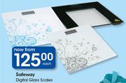 Safeway Digital Glass Scales-Each