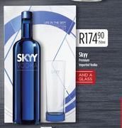 Skyy Premium Imported Vodka-750ml