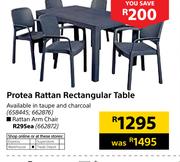 Protea Rattan Arm Chair
