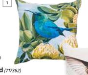 Design House Sunbird Scatter Cushions-500 mm x 500 mm
