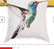 Design House Humming Bird Scatter Cushions-500 mm x 500 mm
