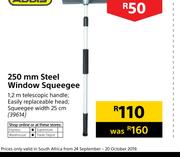 Addis 250mm Steel Window Squeegee