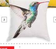 Designhouse Humming Bird Scatter Cushions 500mm x 500mm-Each