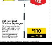Addis 250mm Steel Window Squeegee