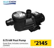 Blue Chem 0.75kW Pool Pump