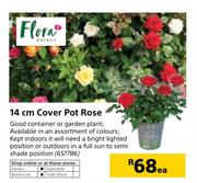 Flora 14cm Cover Pot Rose-Each
