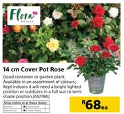Flora 14cm Cover Pot Rose-Each