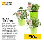Garden Master mm Herbal Pots-Each