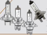 Hella Standard Bulbs H4 12V 60W 8GJ-242632-081