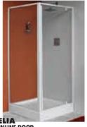 Aurella Pivot Inline Door-900mm*1850mm