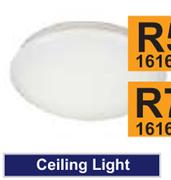 Ceiling Light 12W