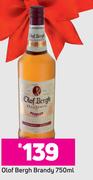 Olof Bergh Brandy-750ml