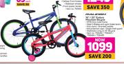 Raleigh 16"/20" Enduro Mountain Bicycle-Each