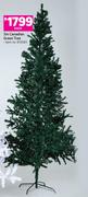 3m Canadian Green Tree-Each