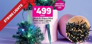 36cm 6 Piece Mini Trees With Lights-Each