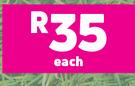 Garden Master Lawndressing 30 dm-Each