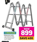  Steadystep Multipurpose Ladder
