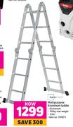 Mainstays Multipurpose Aluminium Ladder