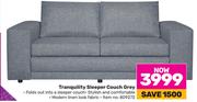 Tranquility Sleeper Couch Grey