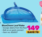 Blue Chem Leaf Rake