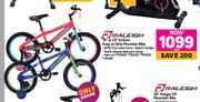 Raleigh 16" Or 20" Enduro Boys Or Girls Mountain Bike-Each