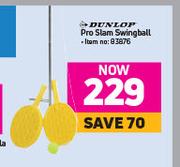 Dunlop Pro Slam Swingball