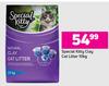 Special Kitty Clay Cat Litter-10kg 