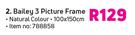 Bailey 3 Picture Frame-100 x 150cm