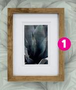 Bailey Frame