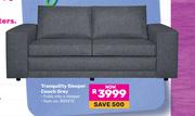 0Tranquility Sleeper Couch Grey