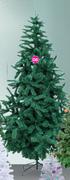 3m Canadian Green Tree CT300G