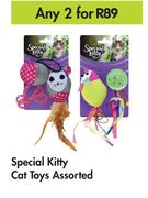 Special Kitty Cat Toys Assorted-For Any 2