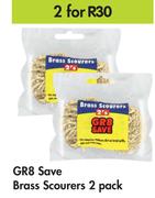 GR8 Save Brass Scourers 2 Pack-For 2