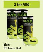 Slam ITF Tennis Ball-For 2