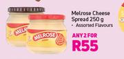 Melrose Cheese Spread-For Any 2 x 250g