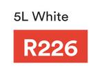 Decorator's Touch Ceilings & Walls (White)-5L