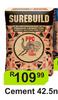 Surebuild Cement 42.5N