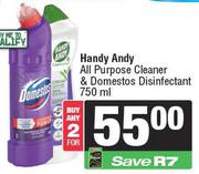 Handy Andy All Purpose Cleaner & Domestos Disinfectant 750ml-For 2