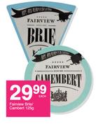 Fairview Brie/Camembert-125g Each