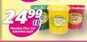 Newden Pine Gel Assorted-1Ltr Each