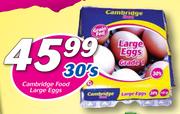 Cambridge Food Large Eggs-30's