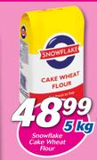 Snowflake Cake Wheat Flour-5Kg