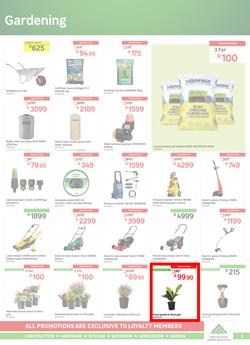 Leroy Merlin : BirthDIY Price Party (02 September - 04 October 2022), page 5
