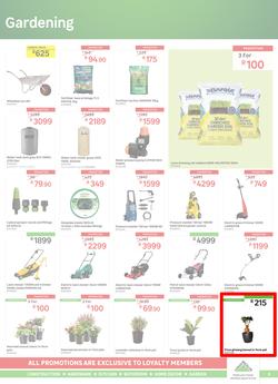 Leroy Merlin : BirthDIY Price Party (02 September - 04 October 2022), page 5