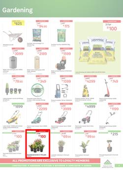 Leroy Merlin : BirthDIY Price Party (02 September - 04 October 2022), page 5