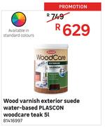 Plascon 5L Woodcare Teak Water Based Exterior Suede Wood Varnish