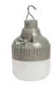 Rechargeable Bulbs
