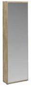 Mirrored Shoe Storage Cabinet 81459269