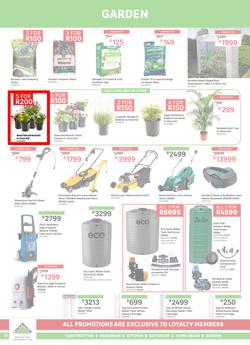 Leroy Merlin : Big Birthday Bash (01 September - 03 October 2023), page 12