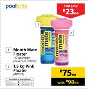 Poolbrite Month Mate Floater 1.5Kg (Algae Preventer)-Each